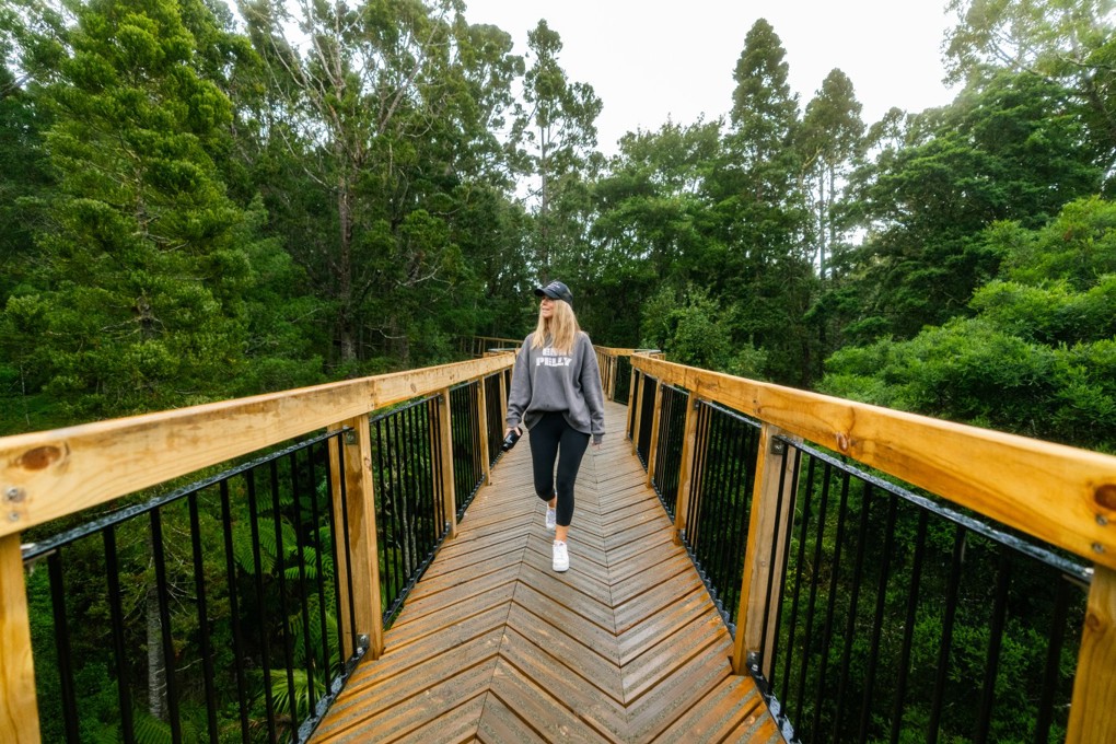 Kauri Glen