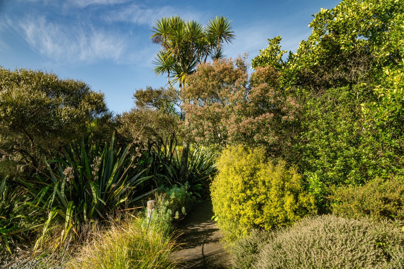 Explore the beautiful colours of native plants on the Native Plant Identification Trail at Auckland Botanical Gardens.