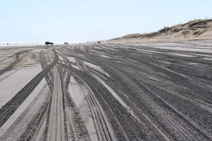 beach driving 1