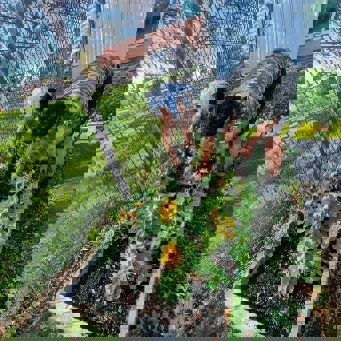 Local community garden