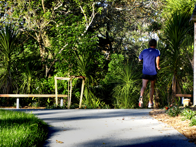 Find a walk, track or trail in Orakei (2)