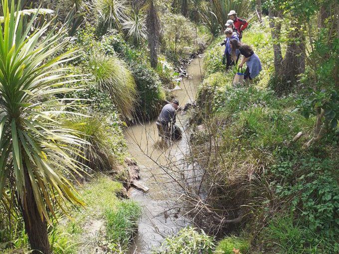 Stream Clean Up with Kaipātiki Project - OurAuckland