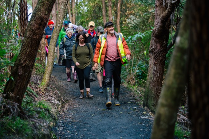 On track to keep kauri safe in Eskdale Reserve1
