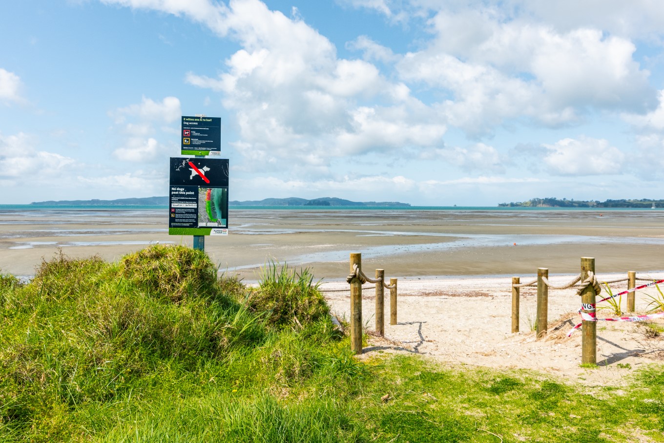 Rules have temporarily changed at Snells Beach over the summer to protect the kuaka/bar-tailed godwit from disturbance.