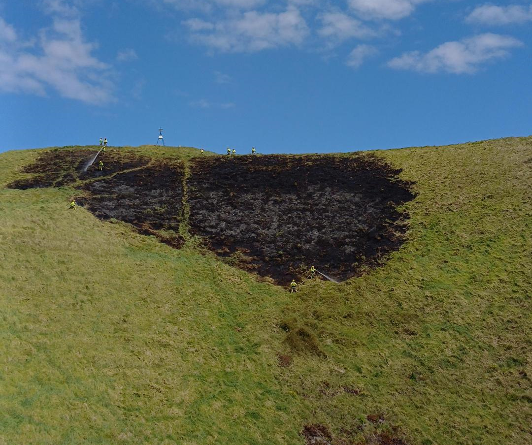 Scorch area on Maungarei Mt Wellington | Credit – Tūpuna Maunga Authority