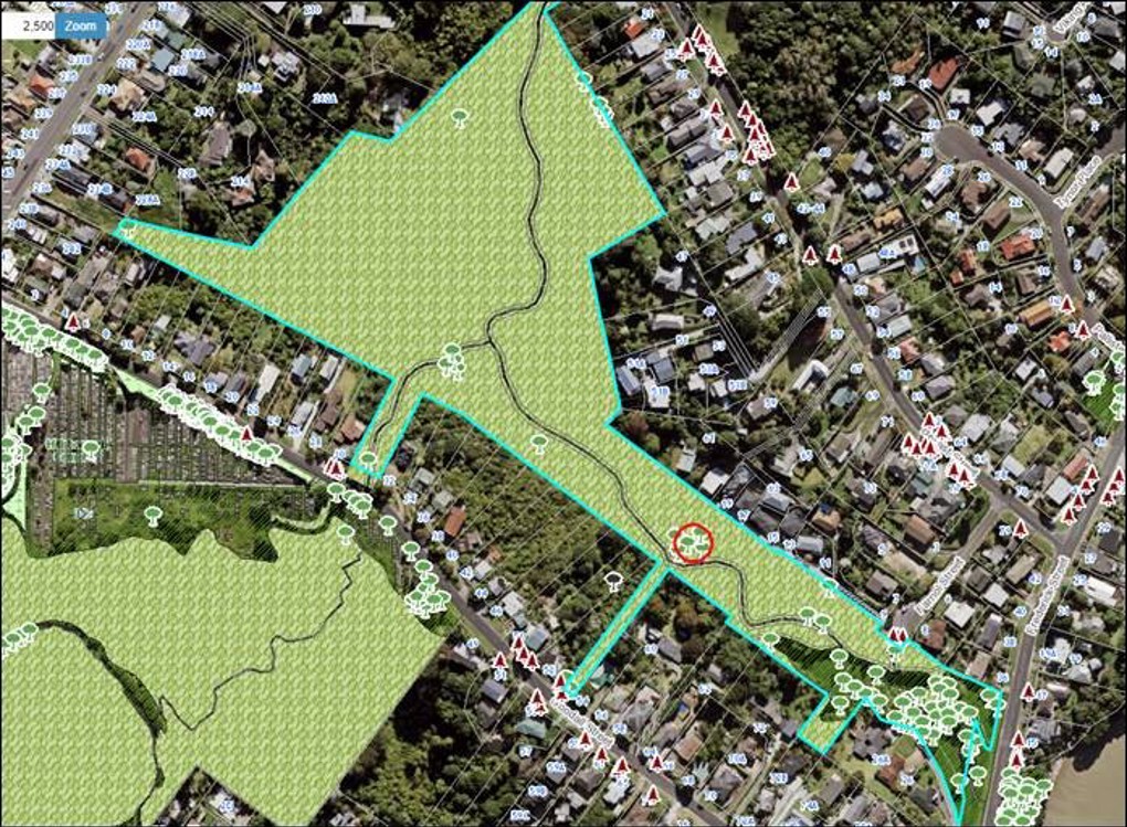 Belfast Reserve 1