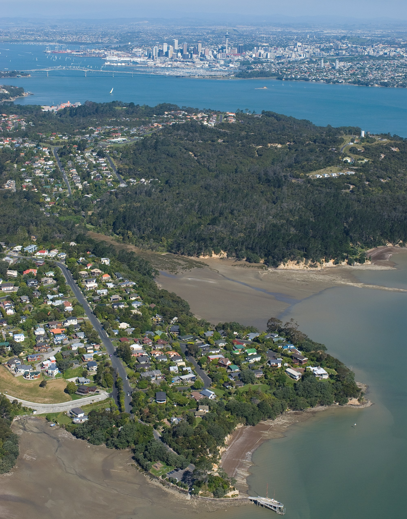 An aerial shot of Auckland's coastal area including Soldiers Bay.