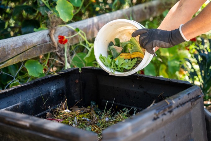 Composting OA