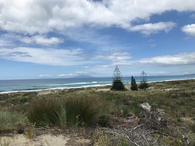 New public park in store with addition to Te Arai parkland 1