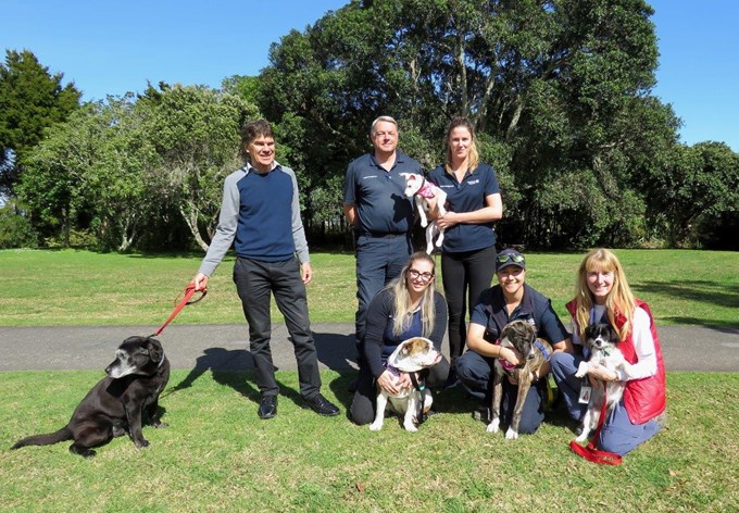 Auckland Council welcomes furry friends (3)
