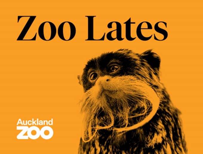 AZ_ZooLates_Our-Auckland_480x365_ulkdsaoi.jpg