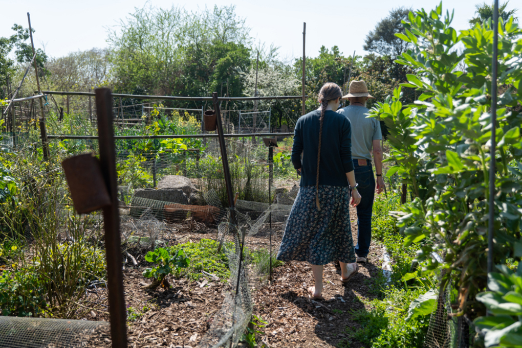 Albert Eden Sustainable Garden Trail 2023 11