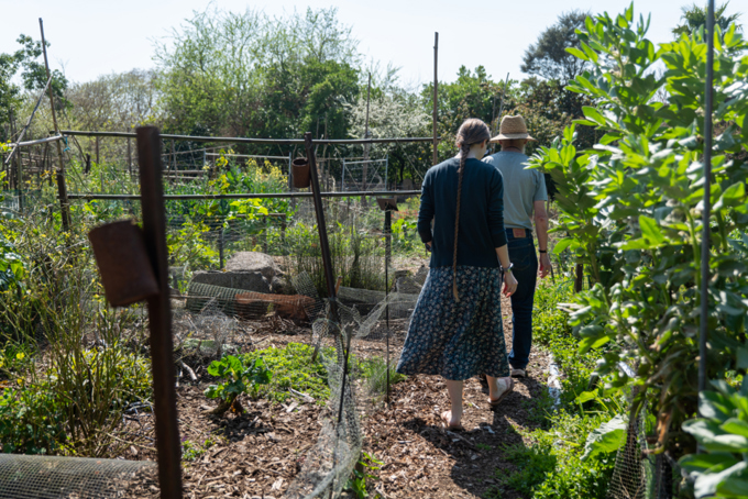 Albert Eden Sustainable Garden Trail 2023 11
