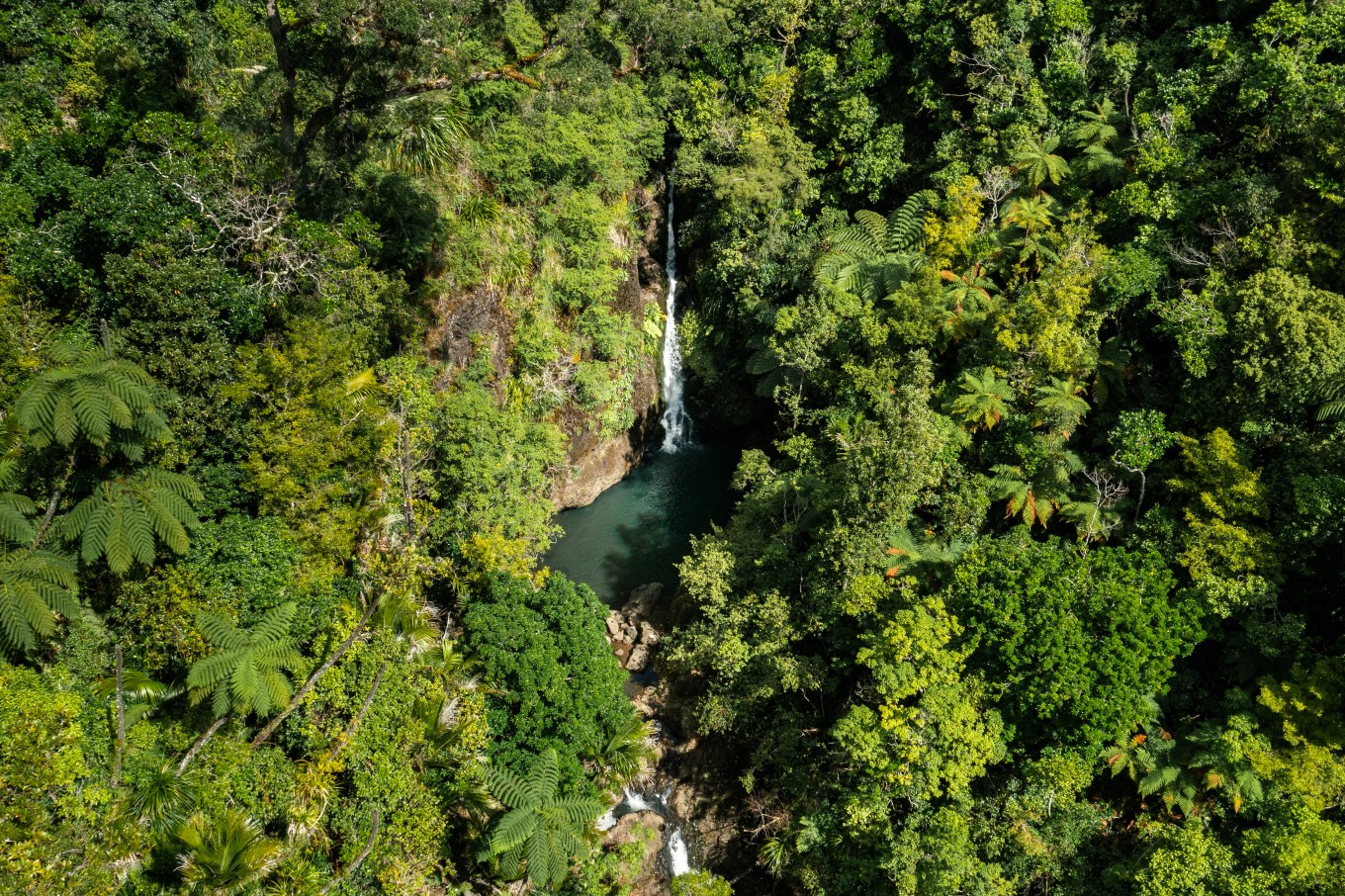 An aerial shot of a waterfall in the bush.