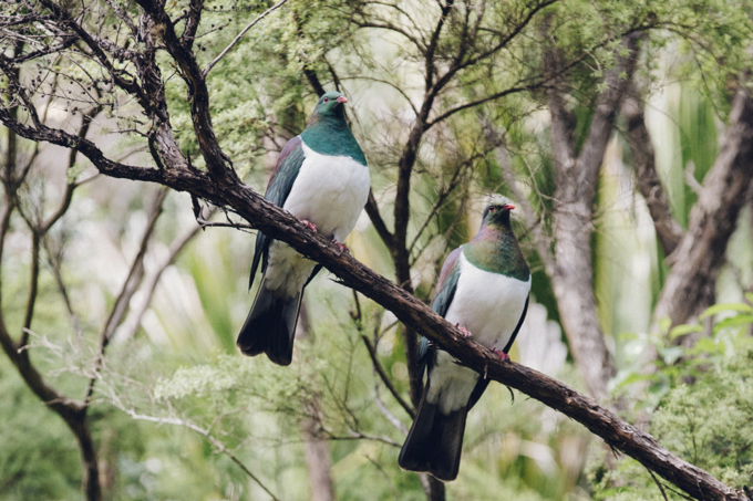 Targeted rates protecting our natural environment