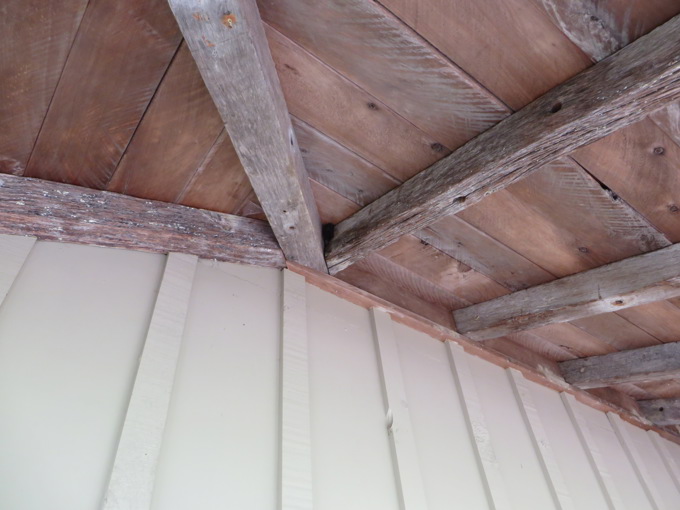 Brad our Bachelor Bat 3.JPG