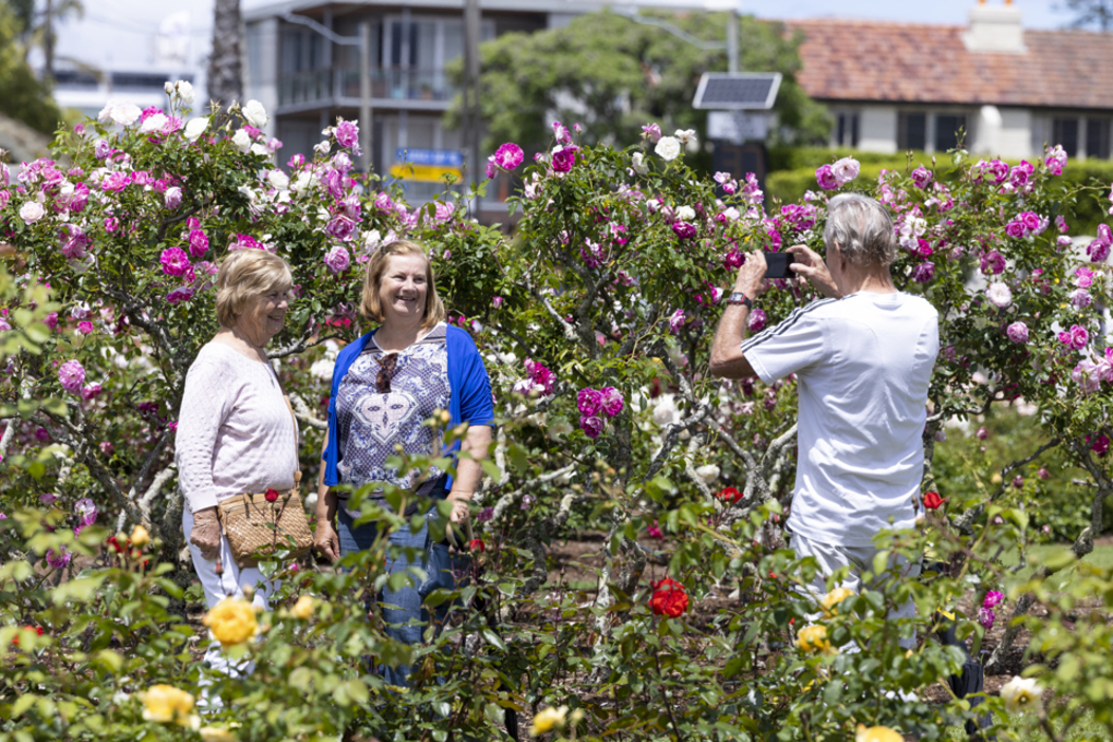 Parnell Festival of Roses