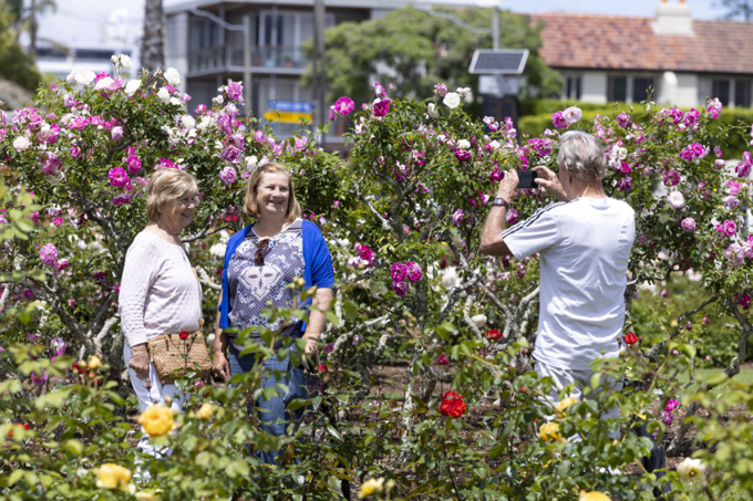 Parnell Festival of Roses