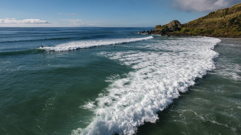 Explore Te Ārai Regional Park OurAuckland