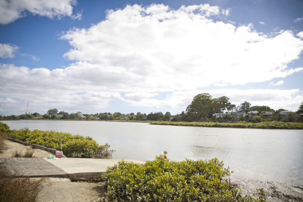 Whau River