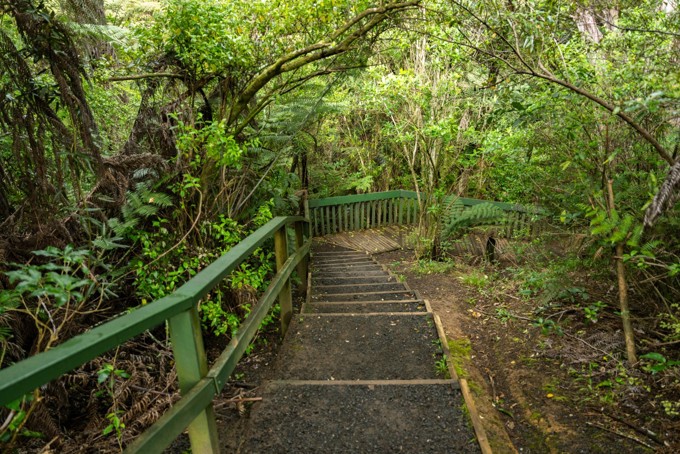 Manutewhau Path