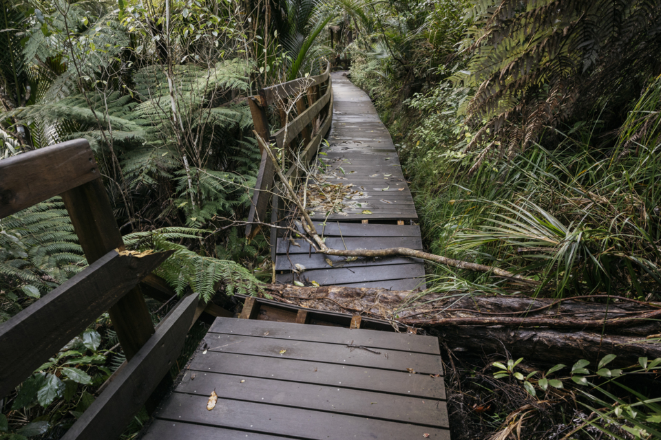 Recovery work continues in Auckland’s western regional parks