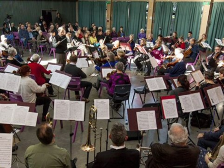 Music In Early Auckland Homes
