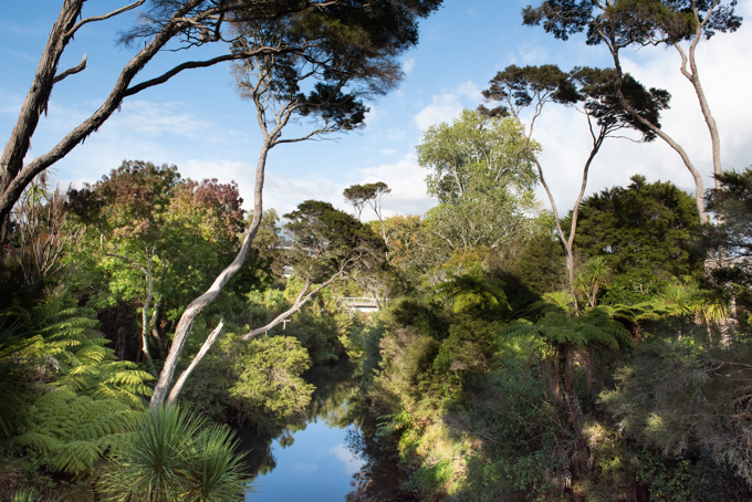 Tickling tuna (eels) at Freshwater Frenzy