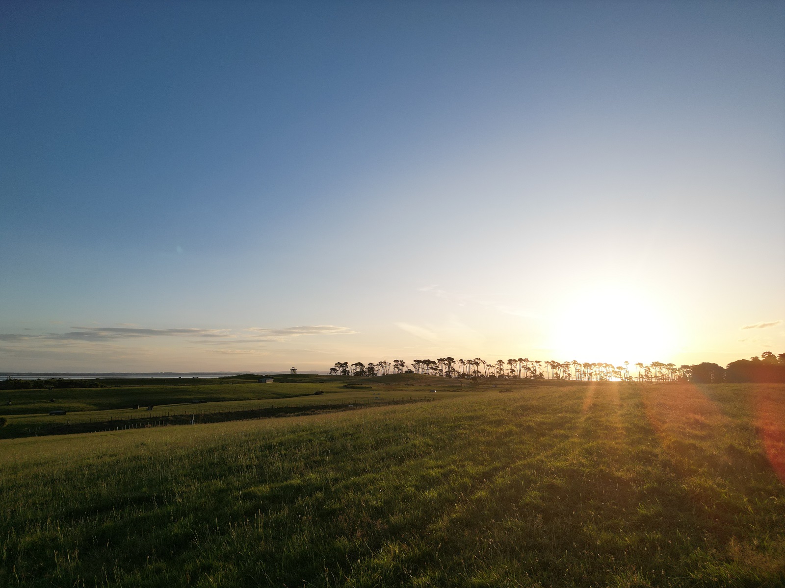 Puhinui Reserve