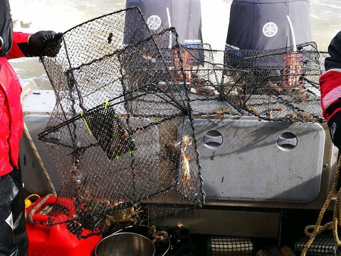 Harbour marine survey 3