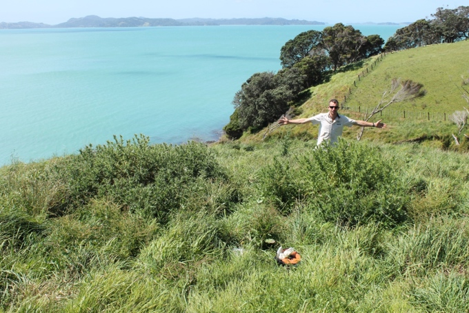 The great beetle swap 3