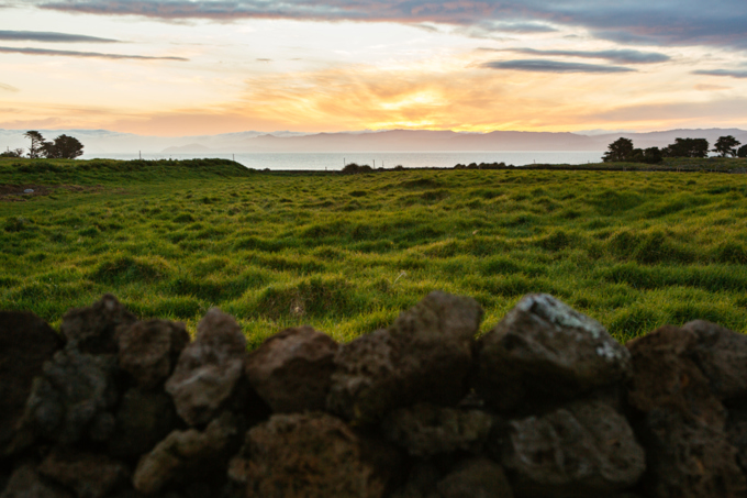 Get together on these south Auckland walks (1)