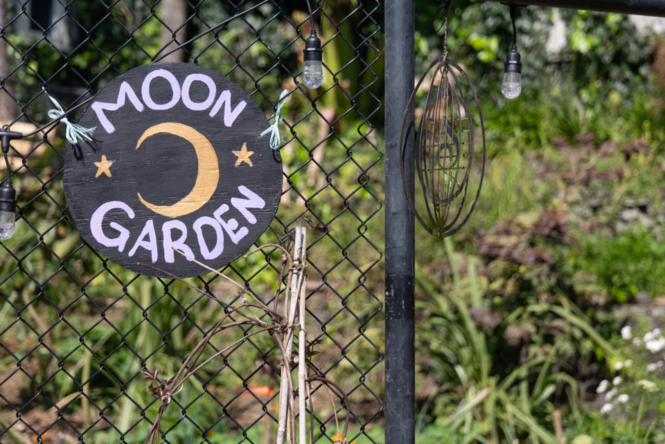 AlbertEden gardeners showcase fruits of their labour OurAuckland