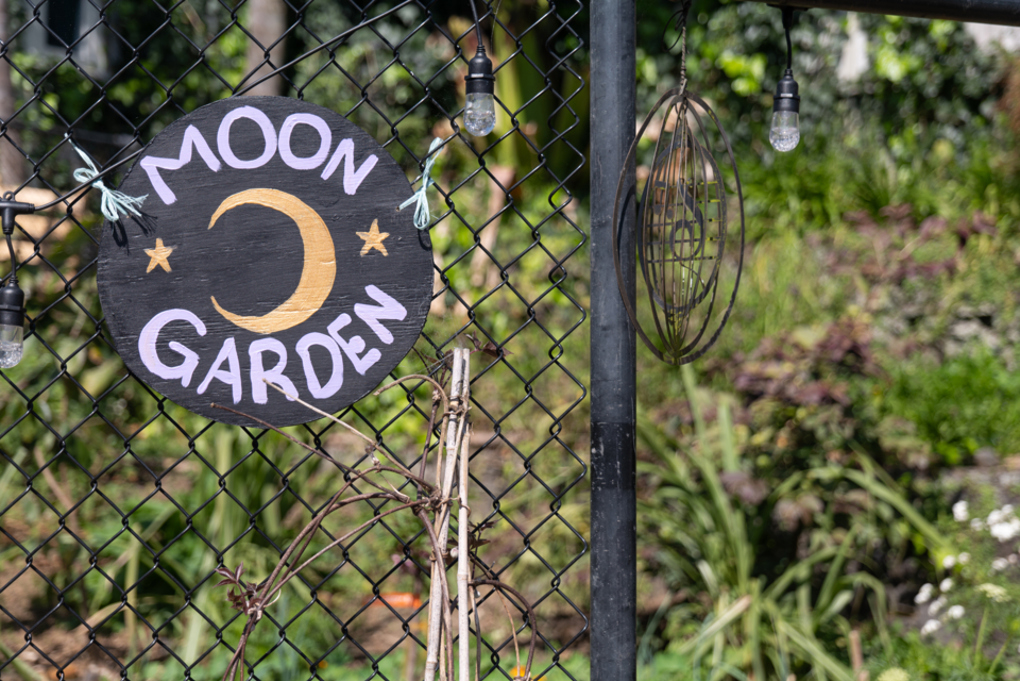 Albert Eden Sustainable Garden Trail 2