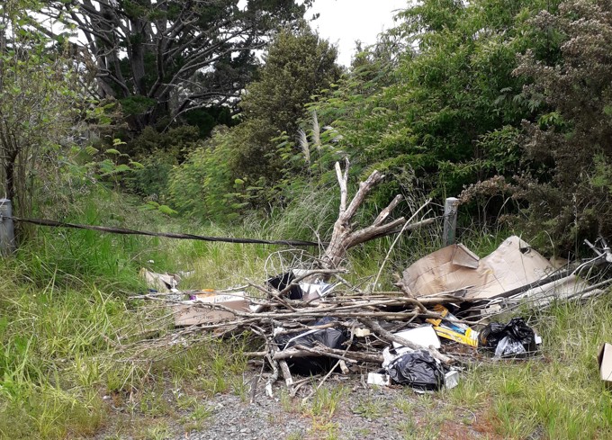 Illegal dumping case1