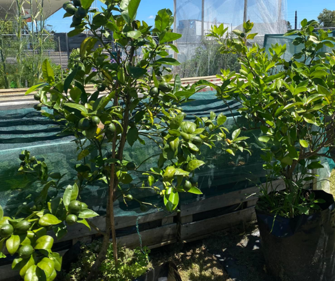 Untitled Design 2026 03 25T105909.919