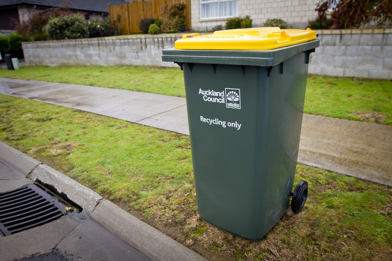 Recycling 101: The Definitive Guide   OurAuckland