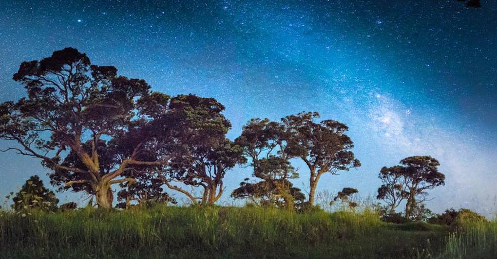 Is there a dark skies future for Waiheke?