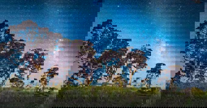 Is there a dark skies future for Waiheke?