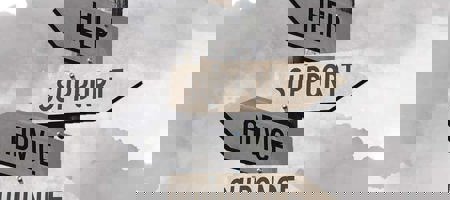 Partner Navigators (002)