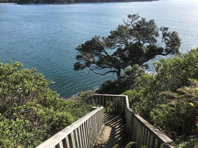 Get together on these central Auckland walks (6)