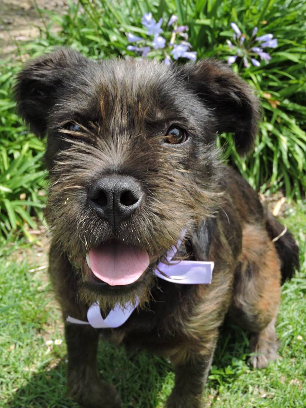 Demi (1)