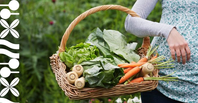Seasonal produce_uwd04mzb.jpg