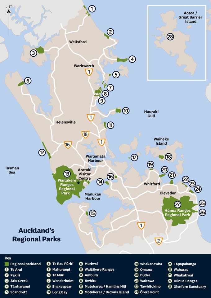 Have your say on how we manage Auckland's regional parks (1)