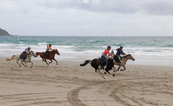 Onetangi Beach Race