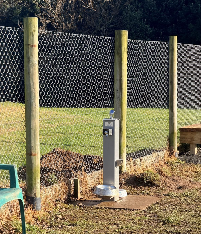 A drinking fountain for dogs. 