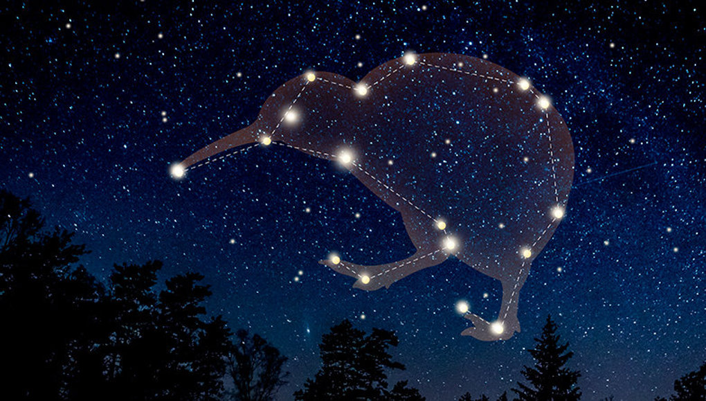 Matariki Auckland Zoo