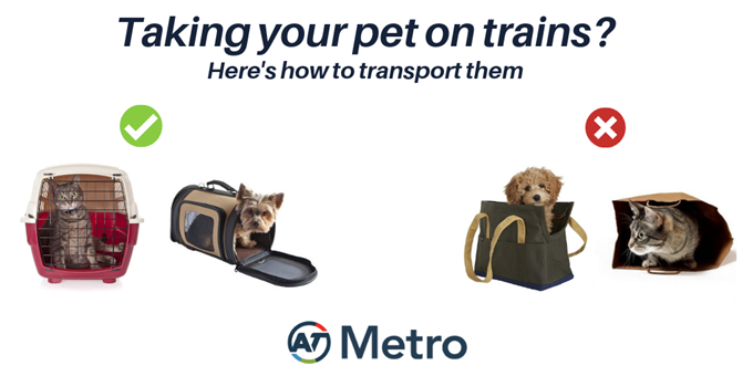 Auckland Transport to trial pets on trains from Sunday
