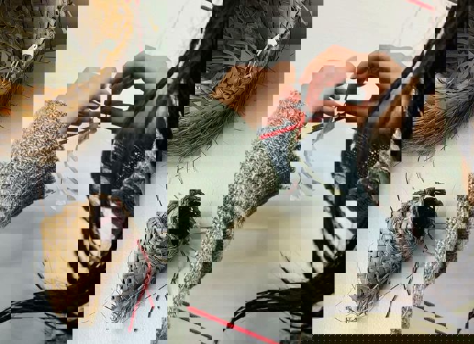 Dawn Wishes To Hiwa I Te Rangi