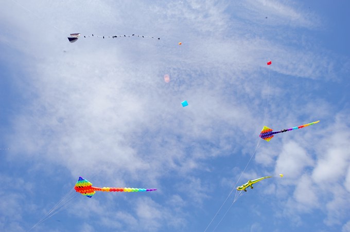 Connect with the star realm at Manu Aute Kite Day